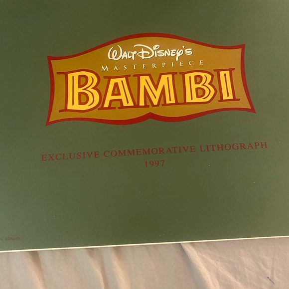 Disney Exclusive Commemorative Lithograph with Green Frame - Picture 5 of 8